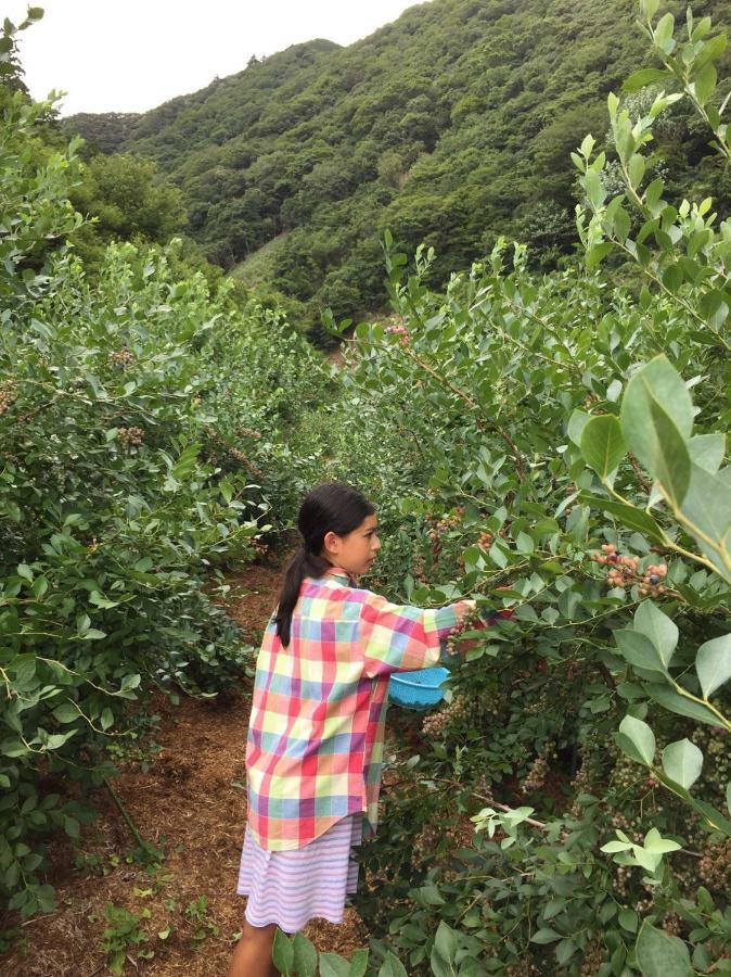 Kumano Winery